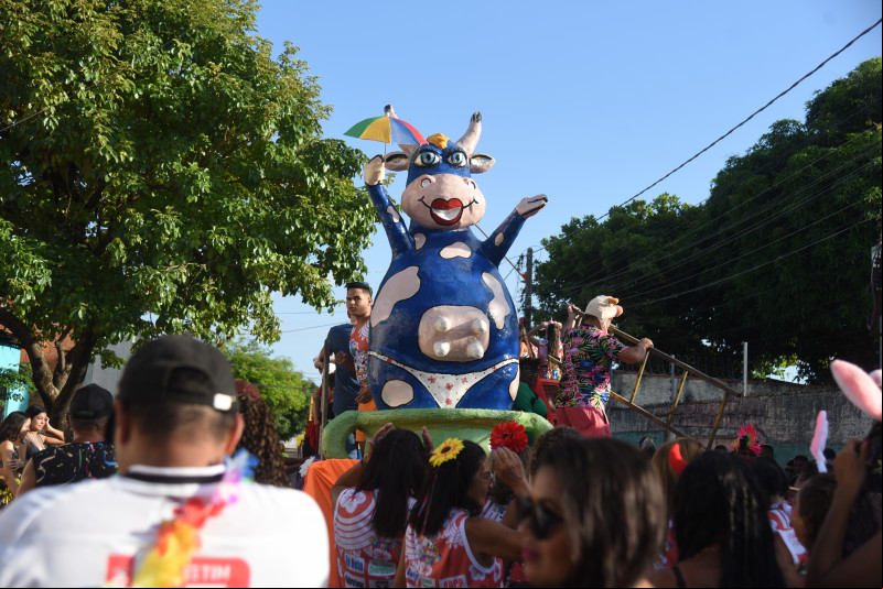 Bloco ‘Vaca Atolada’ e Piauí Samba levam alegria e diversão à foliões em Teresina; veja fotos