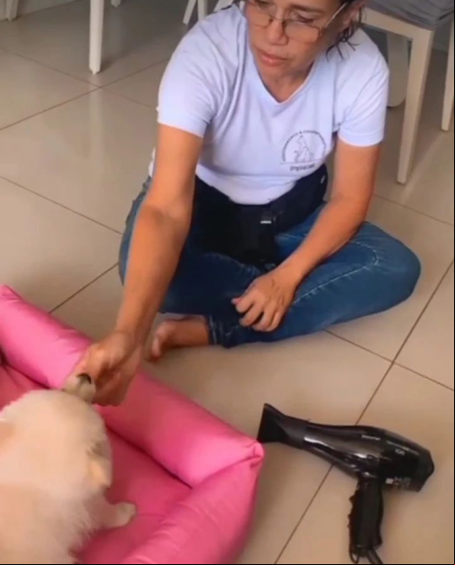 Por que educar desde a infância?