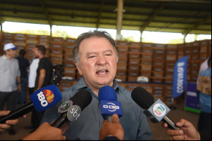 Produção de mel no Piauí deve alcançar R$ 6 milhões com ampliação de colmeias