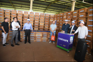 Produção de mel no Piauí deve alcançar R$ 6 milhões com ampliação de colmeias